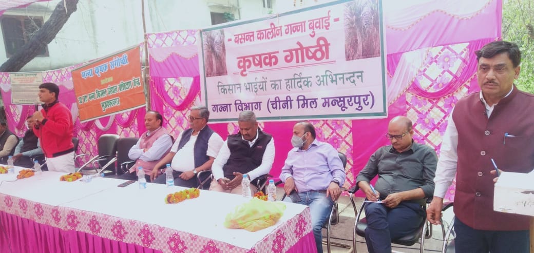 Farmers earn profit by cultivating pulse crops with sugarcane