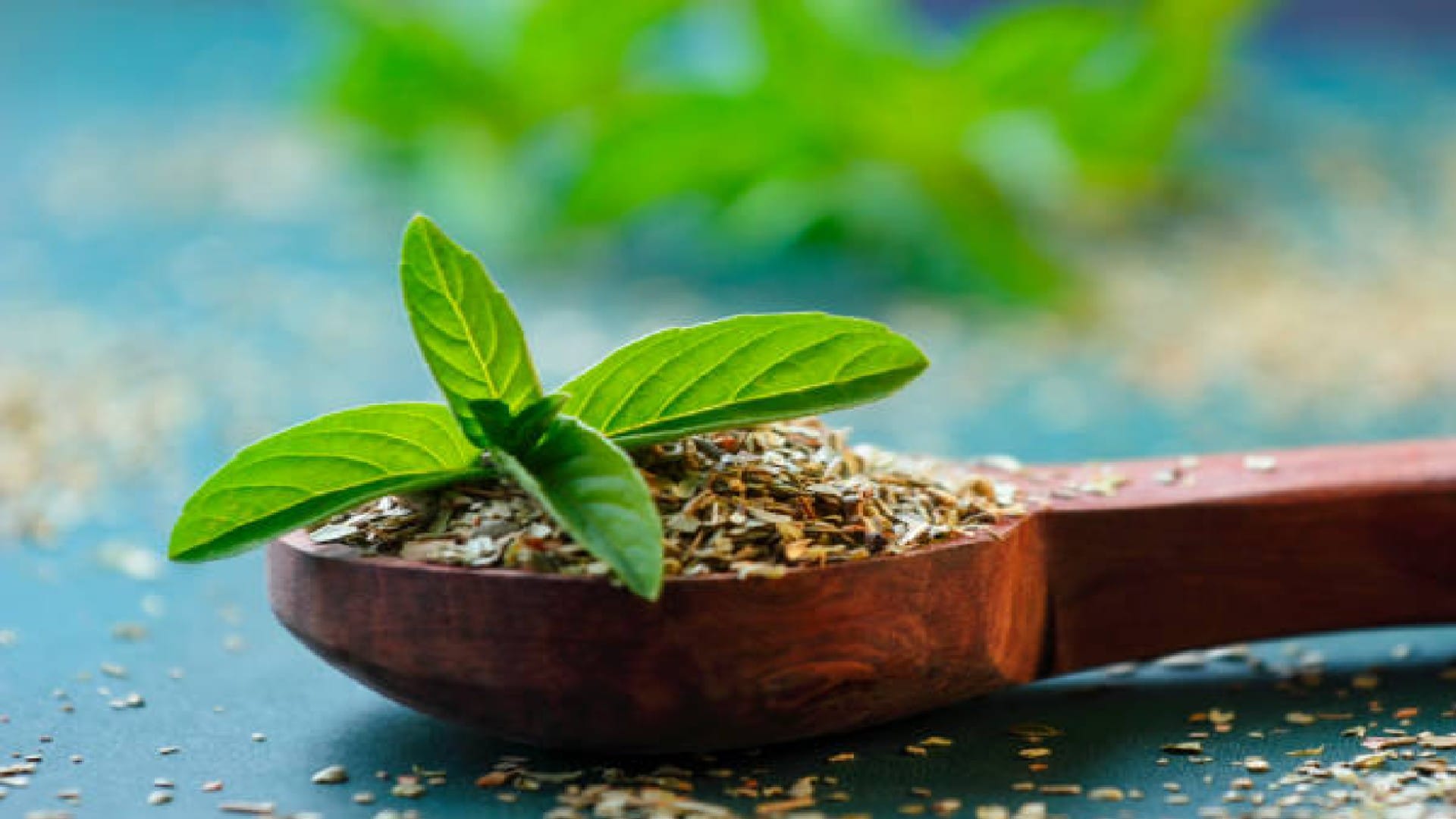 What are the benefits of eating basil leaves check here