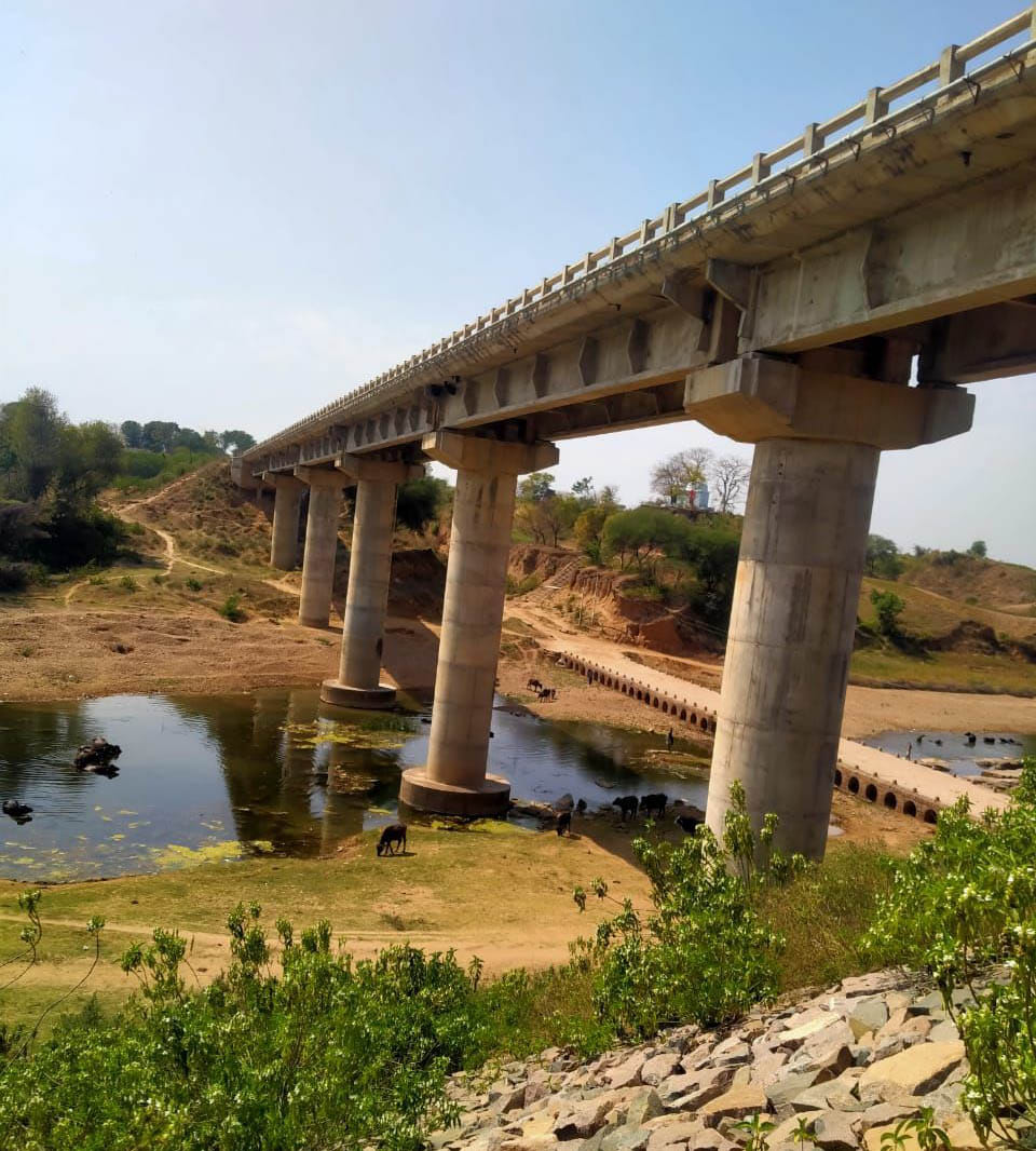 Father throws son off the bridge, death