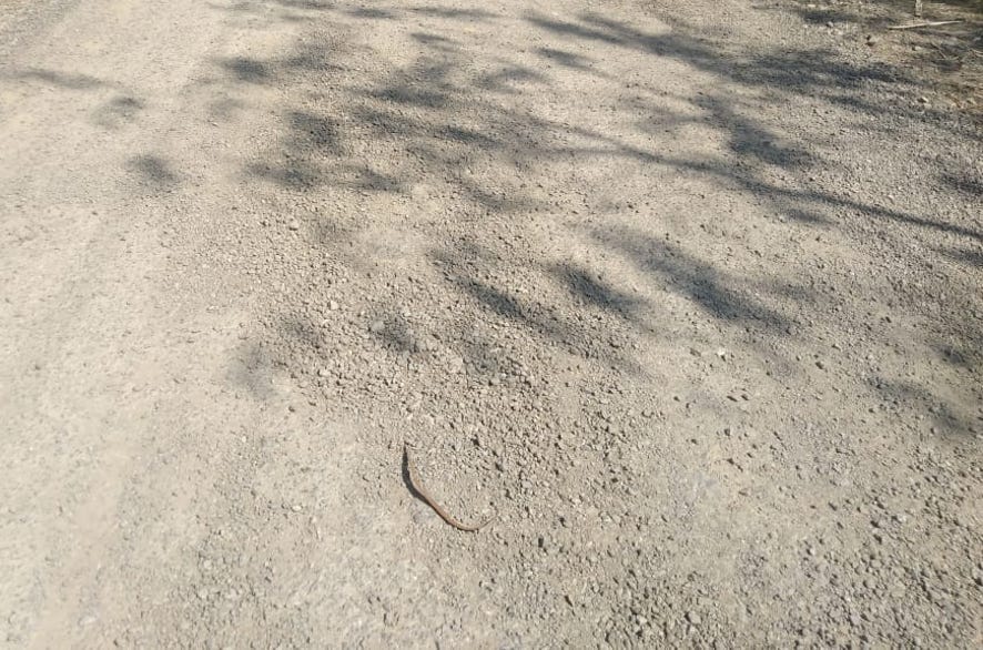 Contact road turned into potholes within four months