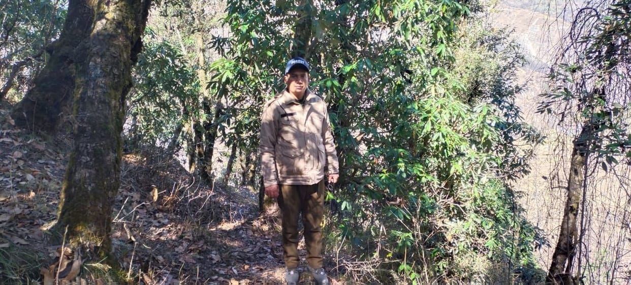 Kharsu-Timsu plants were not cut, dense trees have been lopped