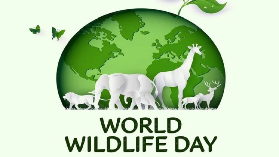 World Wildlife Day: Ministers and MP's expressed their commitment to the conservation of animals