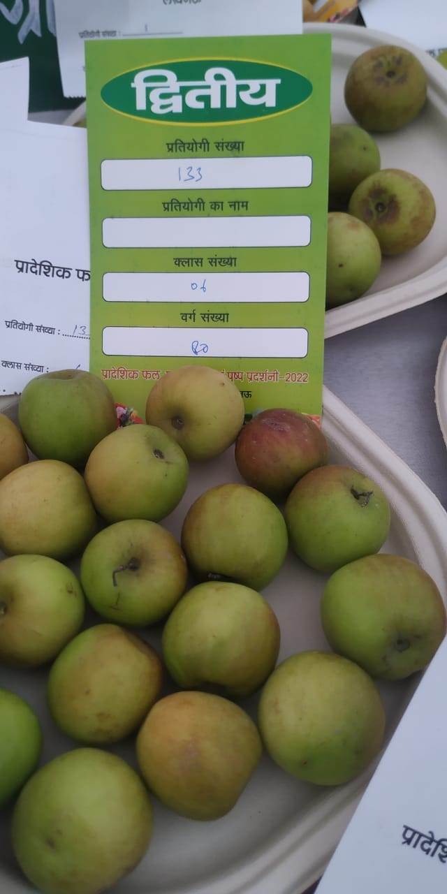 Madan Mohan got the second place in the state at the exhibition of Apple plum