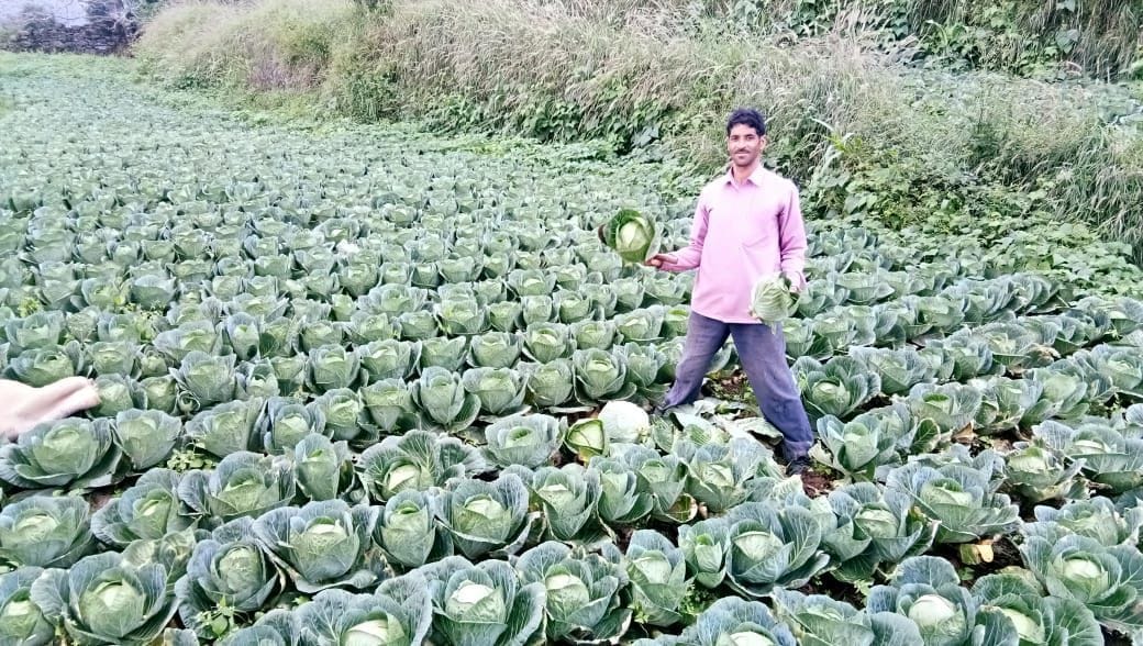 Progressive farmer Khushiram will get innovative farmer award