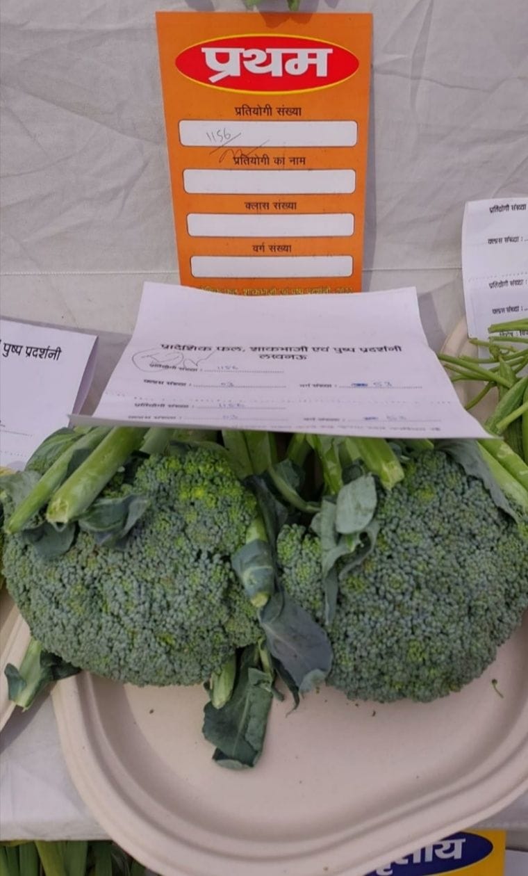 Prisoners' broccoli got first place