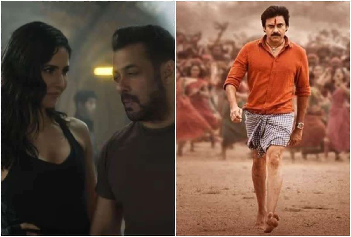 Filmy Wrap: 'Tiger 3' to release next year on eid and Hindi trailer of Bhimla Nayak released read 10 news from the entertainment world