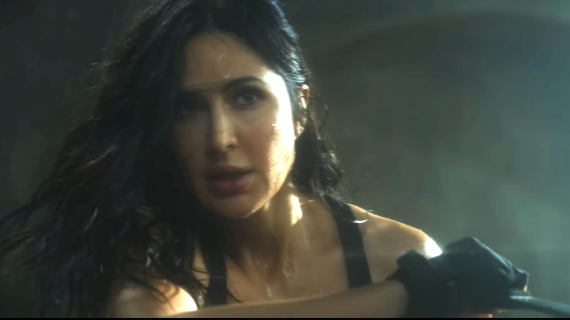 salman khan and katrina kaif movie tiger 3 release date announcement video went viral