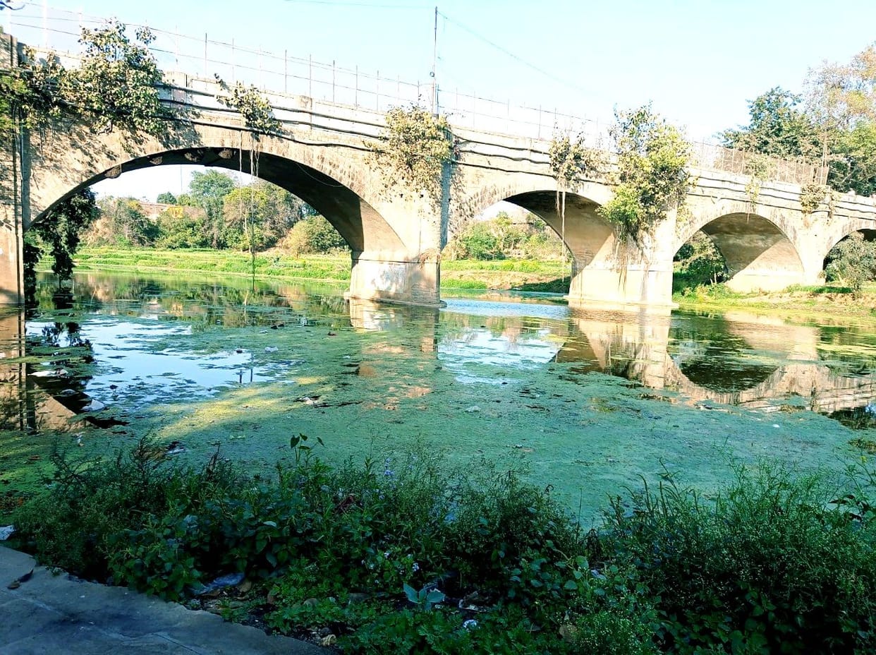 The ghats of the Mandakini river will be cleaned