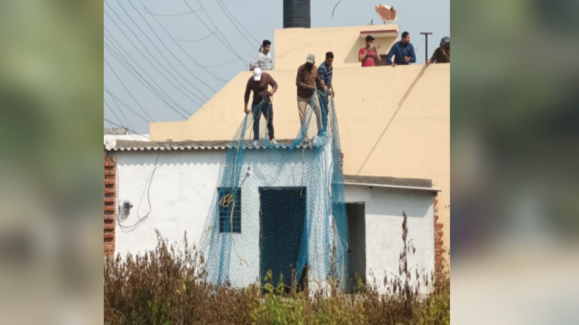 leopard enter in public in Modipuram Meerut, entered in ahouse, alert in Schools