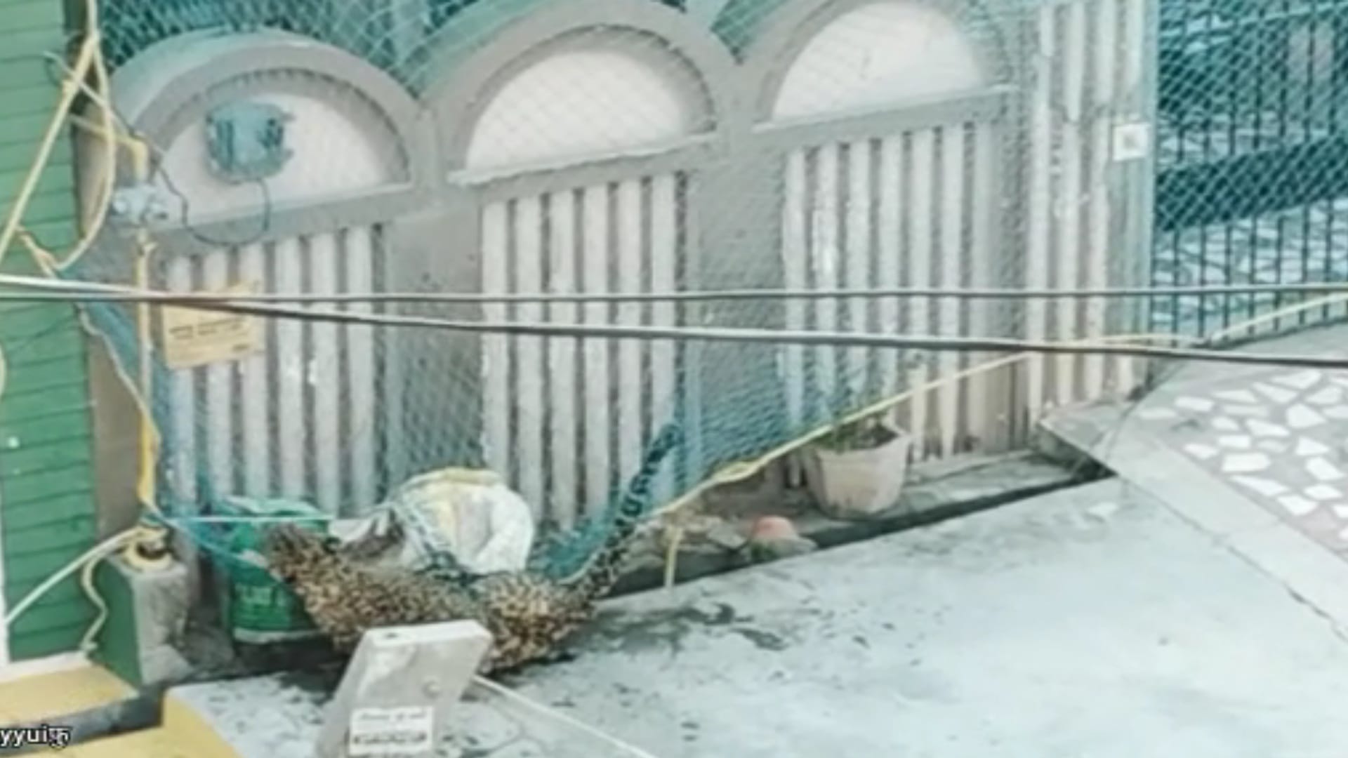 leopard enter in public in Modipuram Meerut, entered in ahouse, alert in Schools