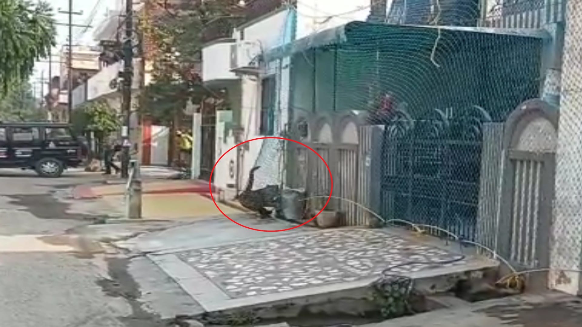 leopard enter in public in Modipuram Meerut, entered in ahouse, alert in Schools