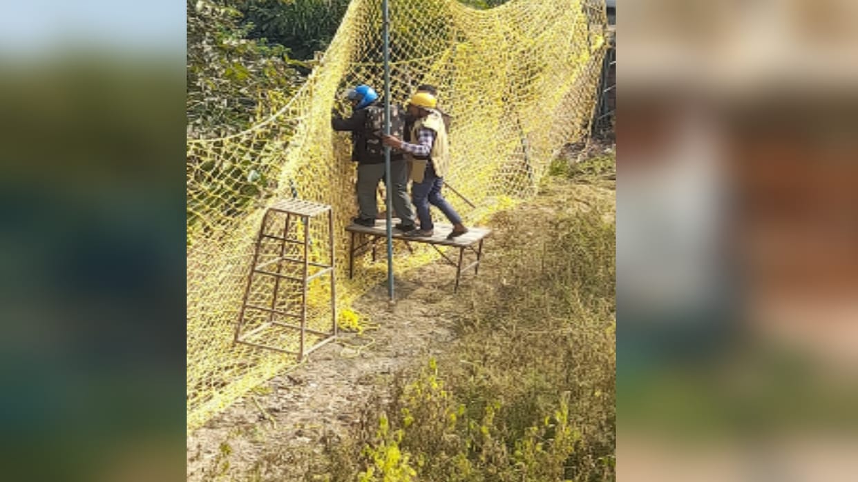 Smuggling or disorientation: Leopard caught, left questions, department does not have answer