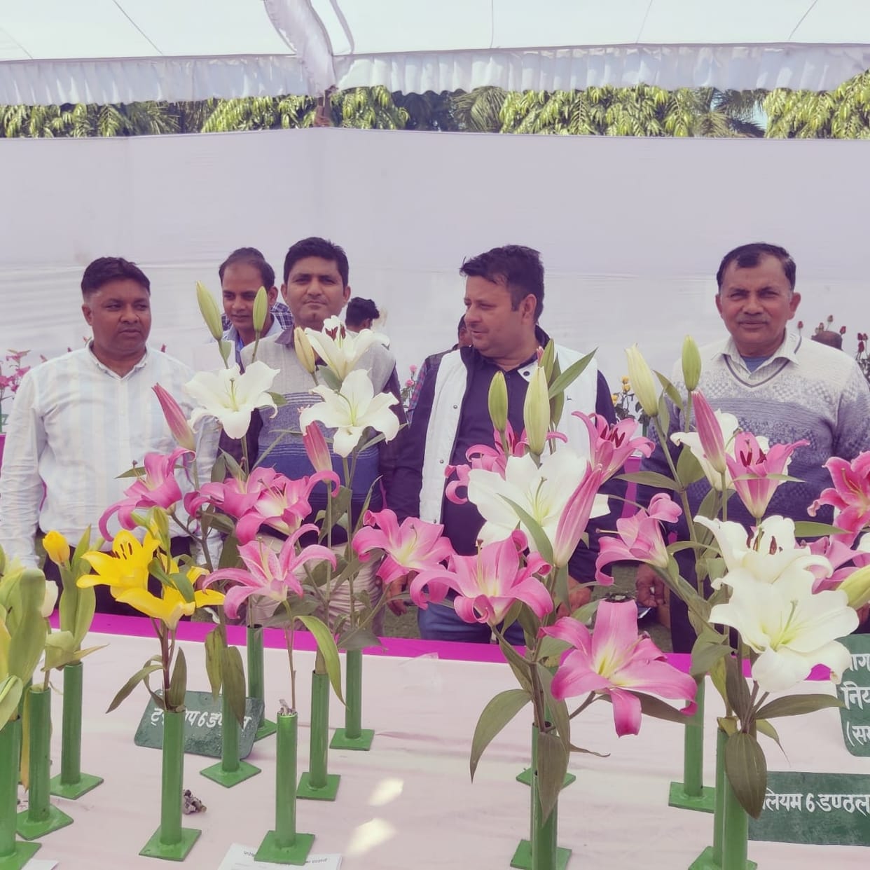 Flowers of the district flourished in the state level flower exhibition