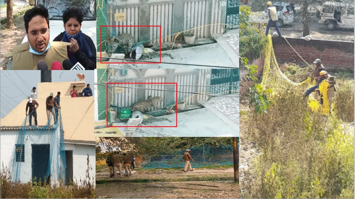 Meerut News: Leopard enter in a house of colony in Modipuram people locked in room see photos