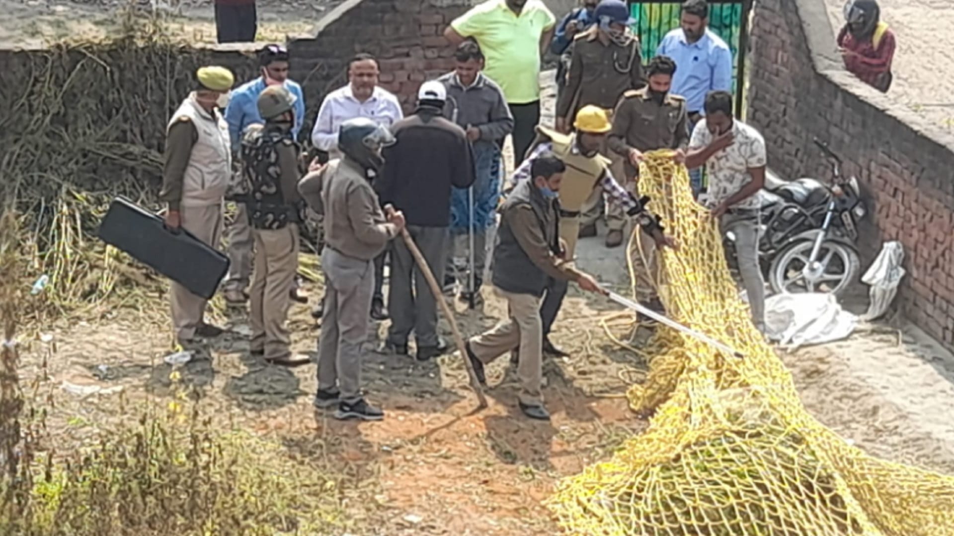 Meerut News: Fear in peoples after see leopard in colony in Modipuram photos