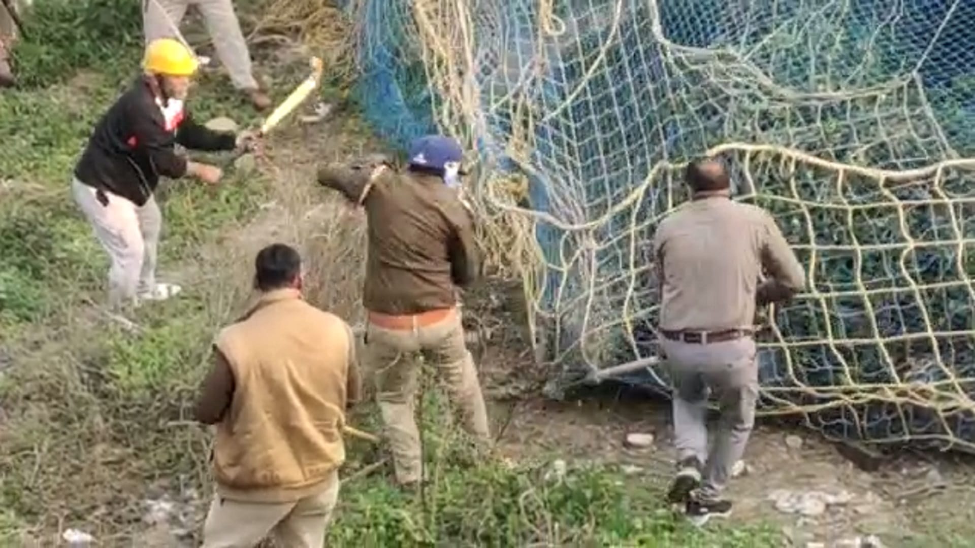 Meerut News: Fear in peoples after see leopard in colony in Modipuram photos