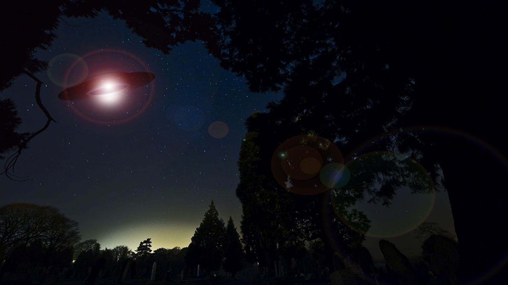Alien News Hindi Mysterious Creature Like Alien Found in Sydney Know All About It