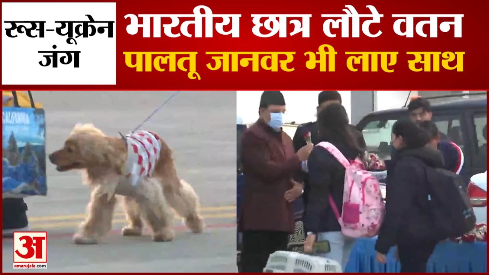 यूक्रेन