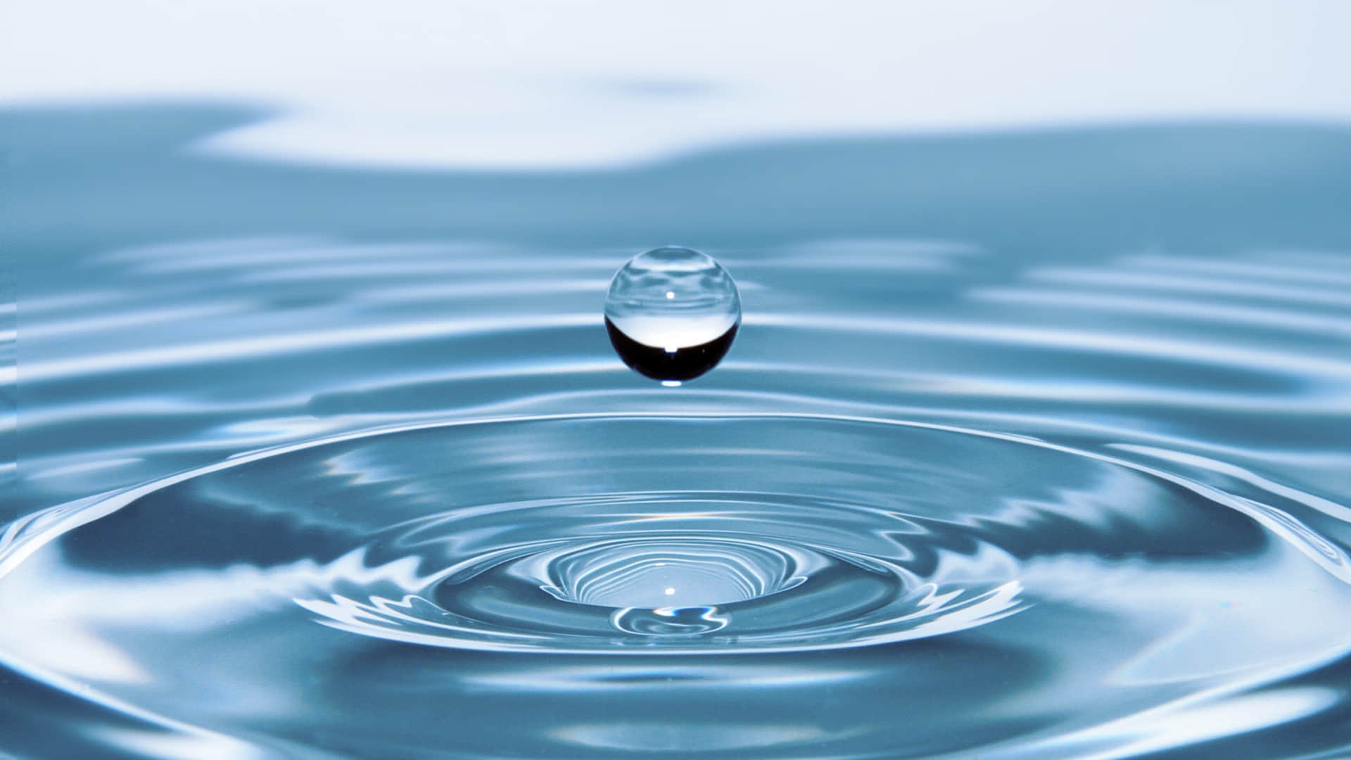 World Water Day 2024 Tips And Tricks To Check Water Quality At Home In Hindi