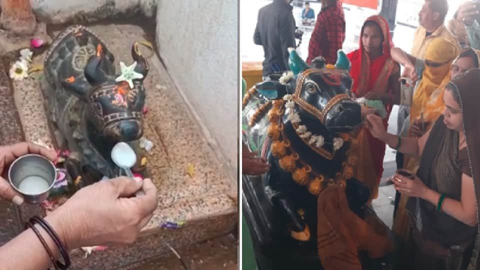 Madhya Pradesh: Rumors of Nandi's idol drinking milk and water in Shiva temples in Malwa-Nimar, crowds of devotees gathered