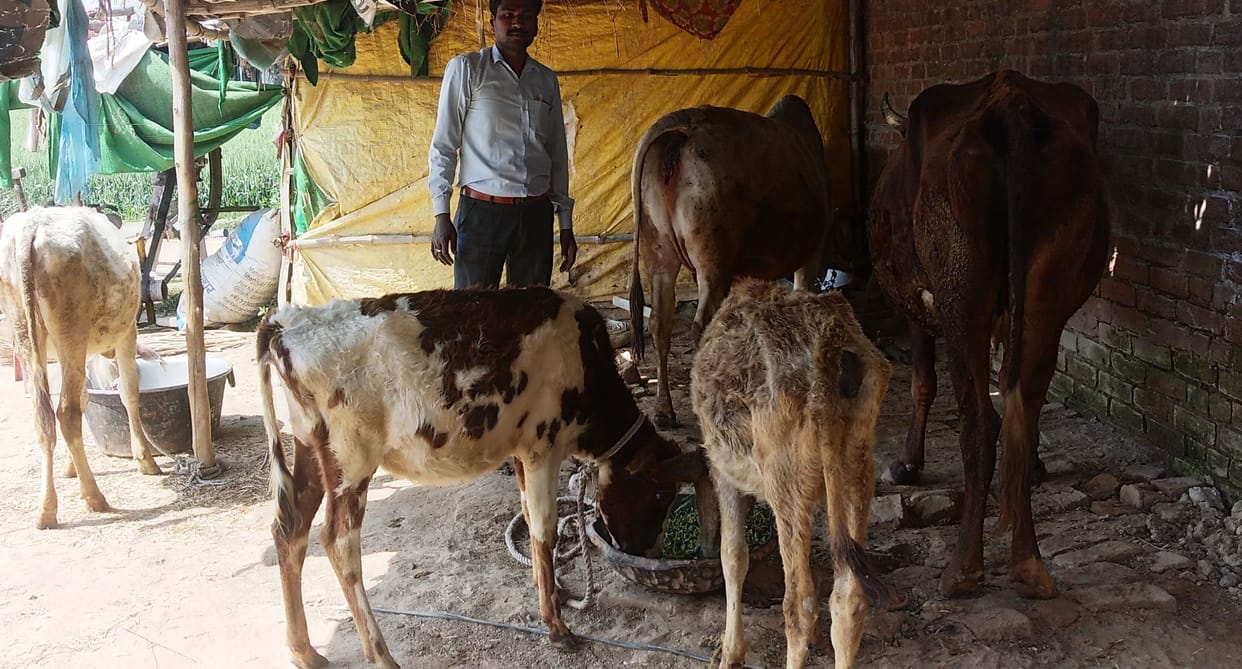 Shelter sites not built in five gram panchayats of Savankheda block, running on paper
