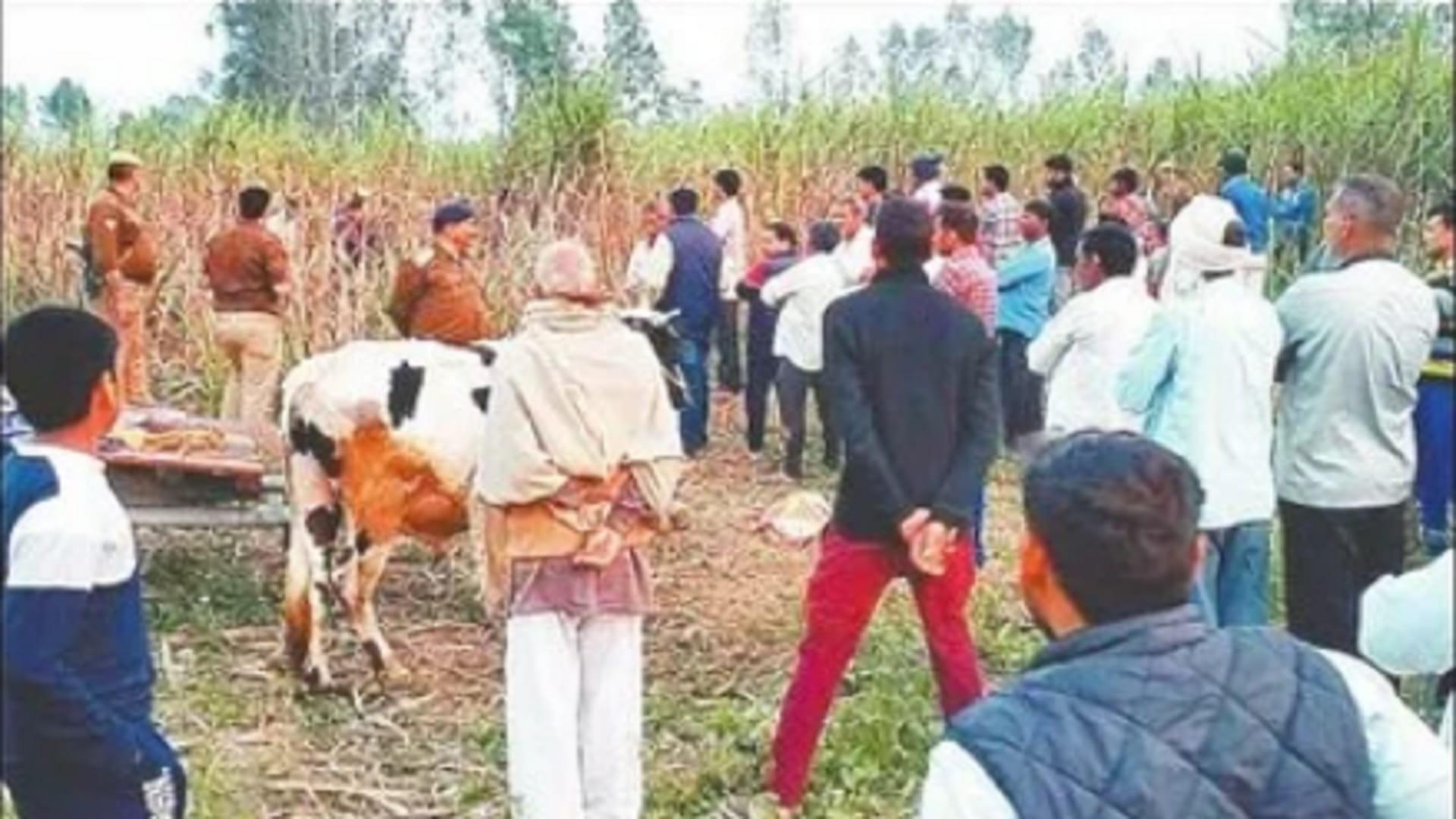 Couple murdered in Moradabad Bodies of both found in field