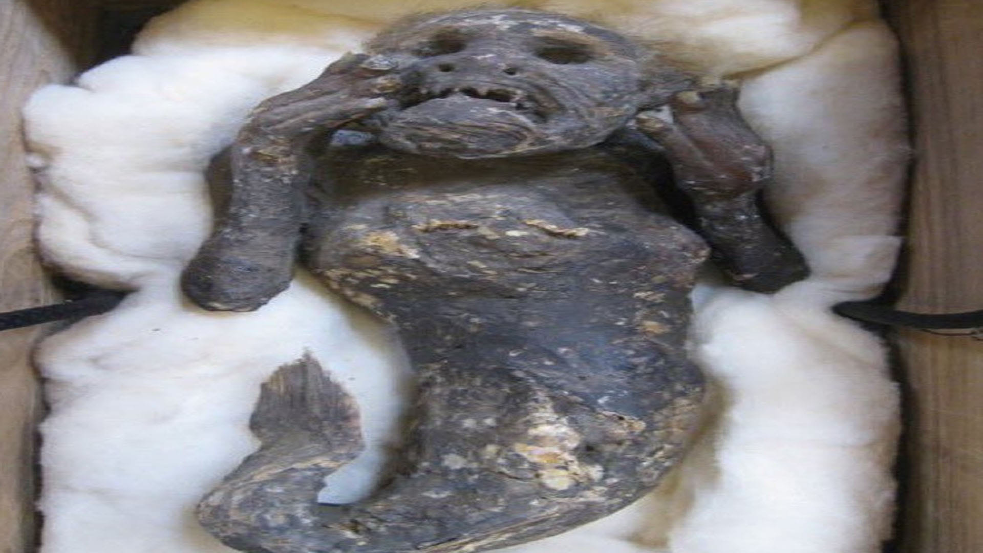 Fisherman Found Mermaid’s Body a Person Becomes Immortal by Eating It’s Skin