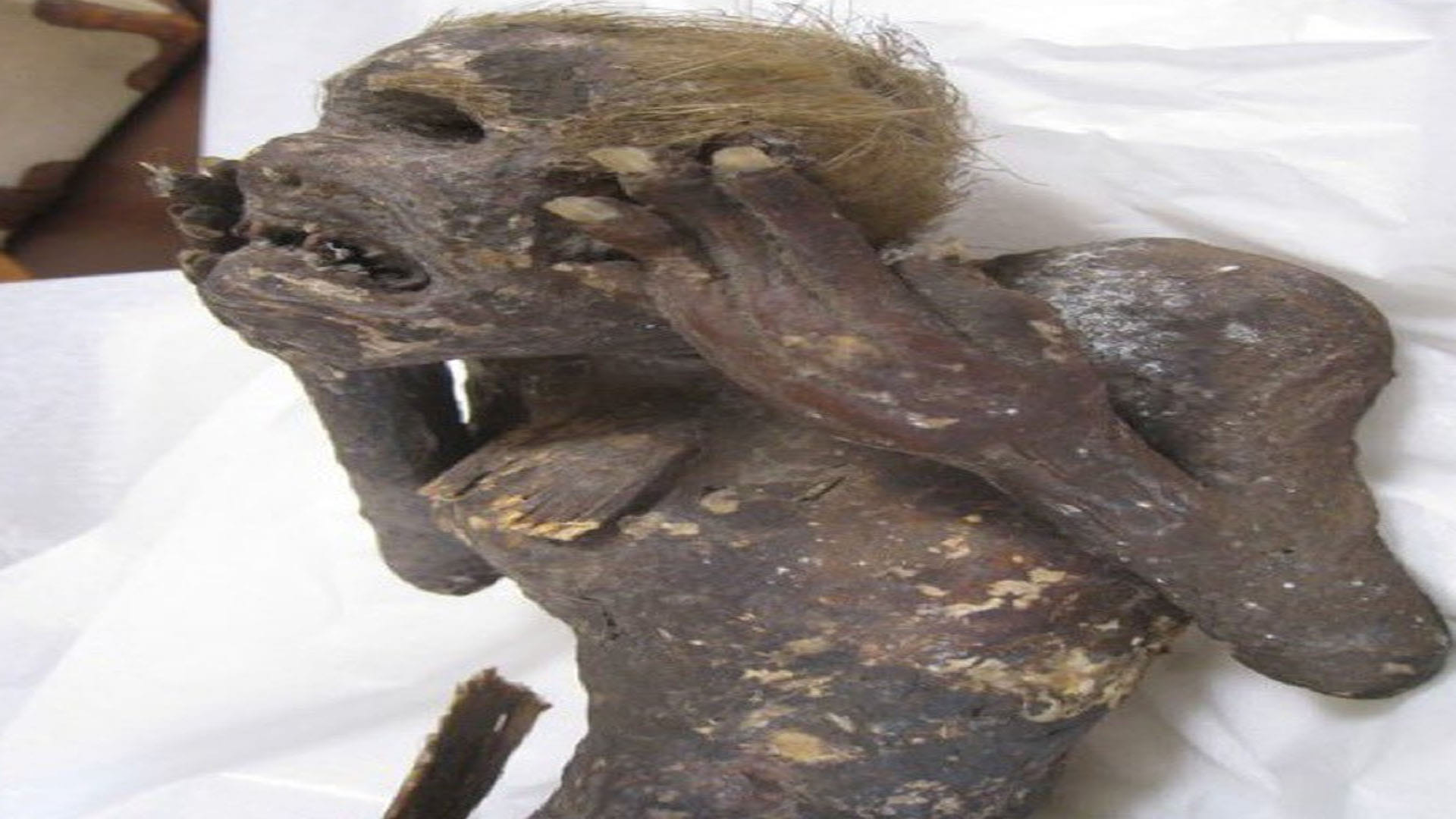 Fisherman Found Mermaid’s Body a Person Becomes Immortal by Eating It’s Skin