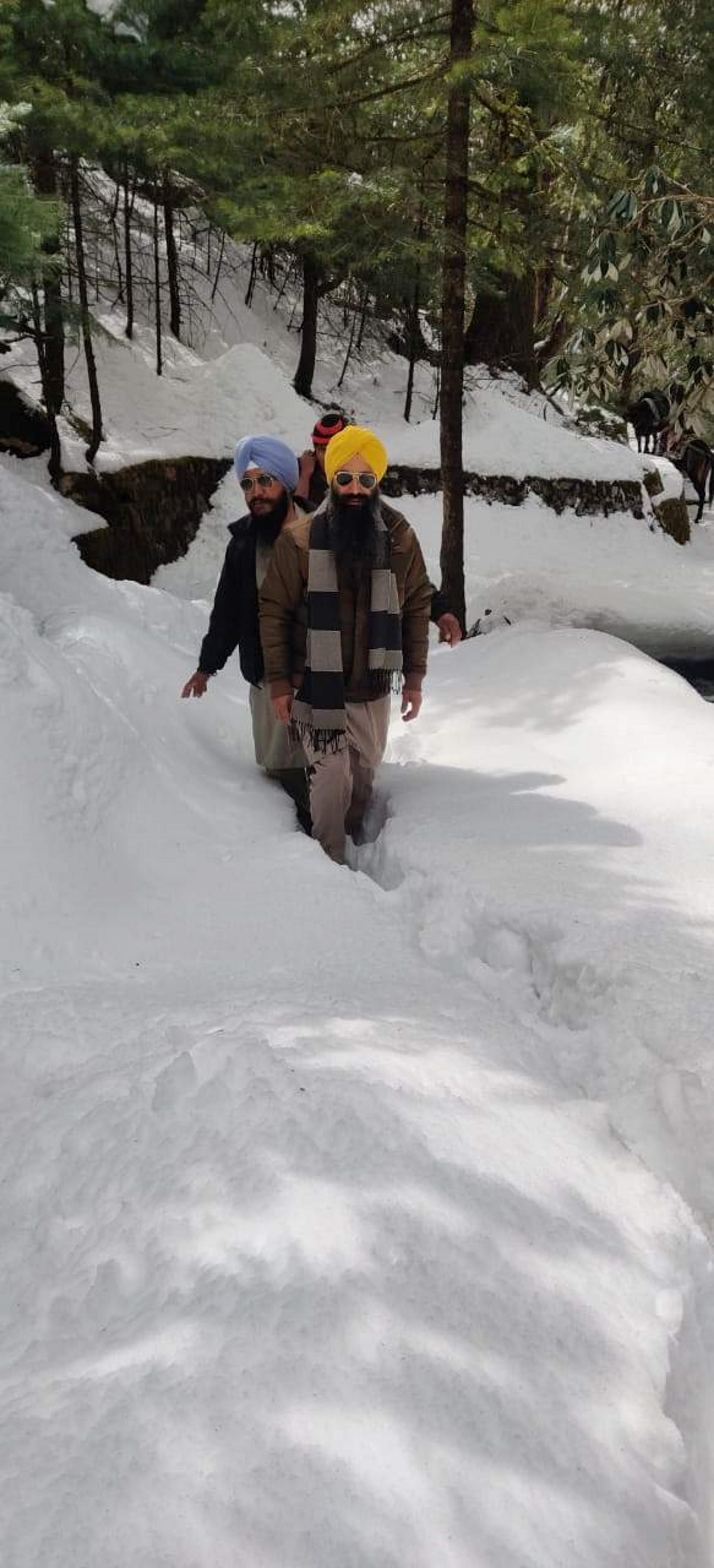 Uttarakhand: Ten km faith path of Hemkund Sahib covered with snow,  team went for inspection had to return, Seee photos...