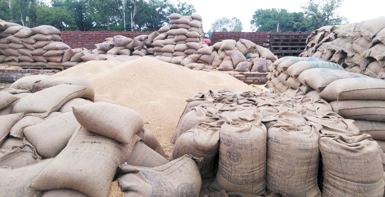 fathepur news,Three institutions will buy wheat from farmers in 32 purchasing centers