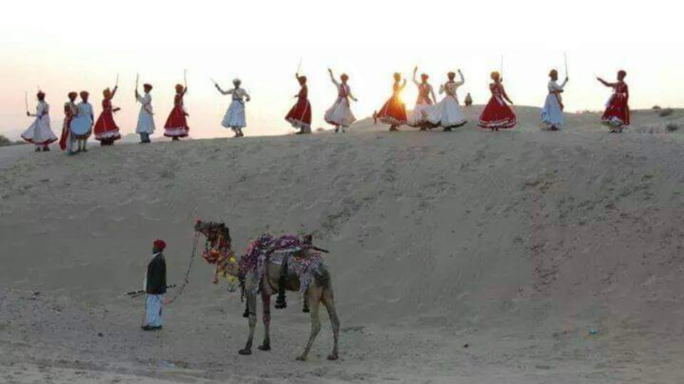 International Camel Festival will start in Bikaner from March 6