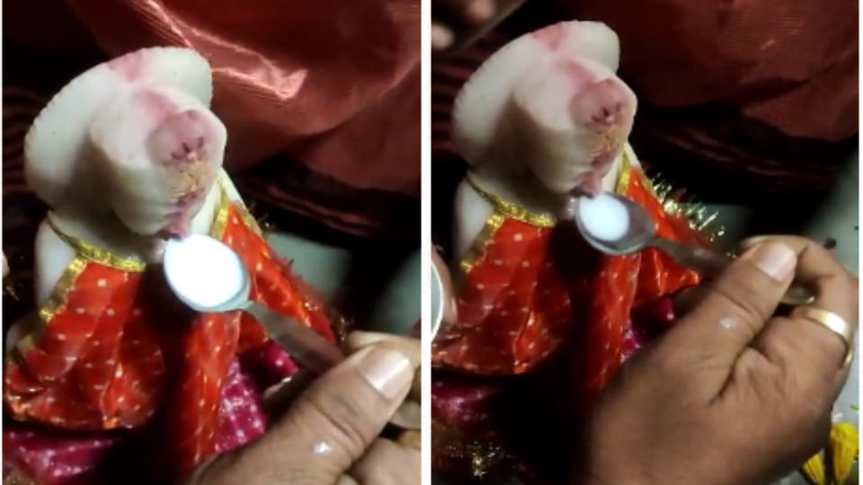Lord Bholenath and Nandi are drinking milk and water in  temples of Kota