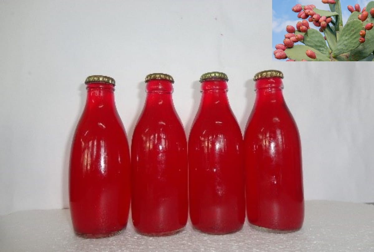 Himachal News: cactus fruit juice jam murabba help to control cholesterol