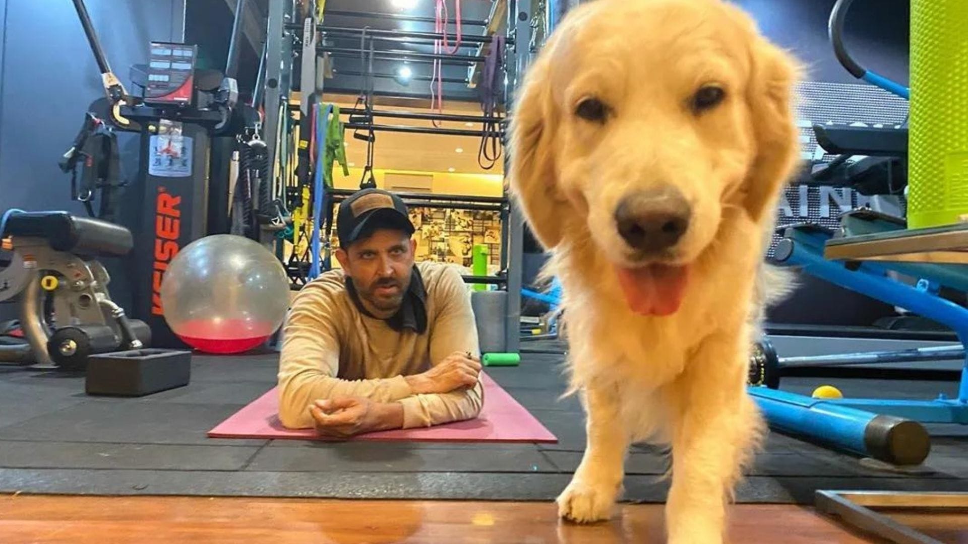 bollywood Celebs are crazy about their fitness they have built mini gym at home by spending lakhs rupees