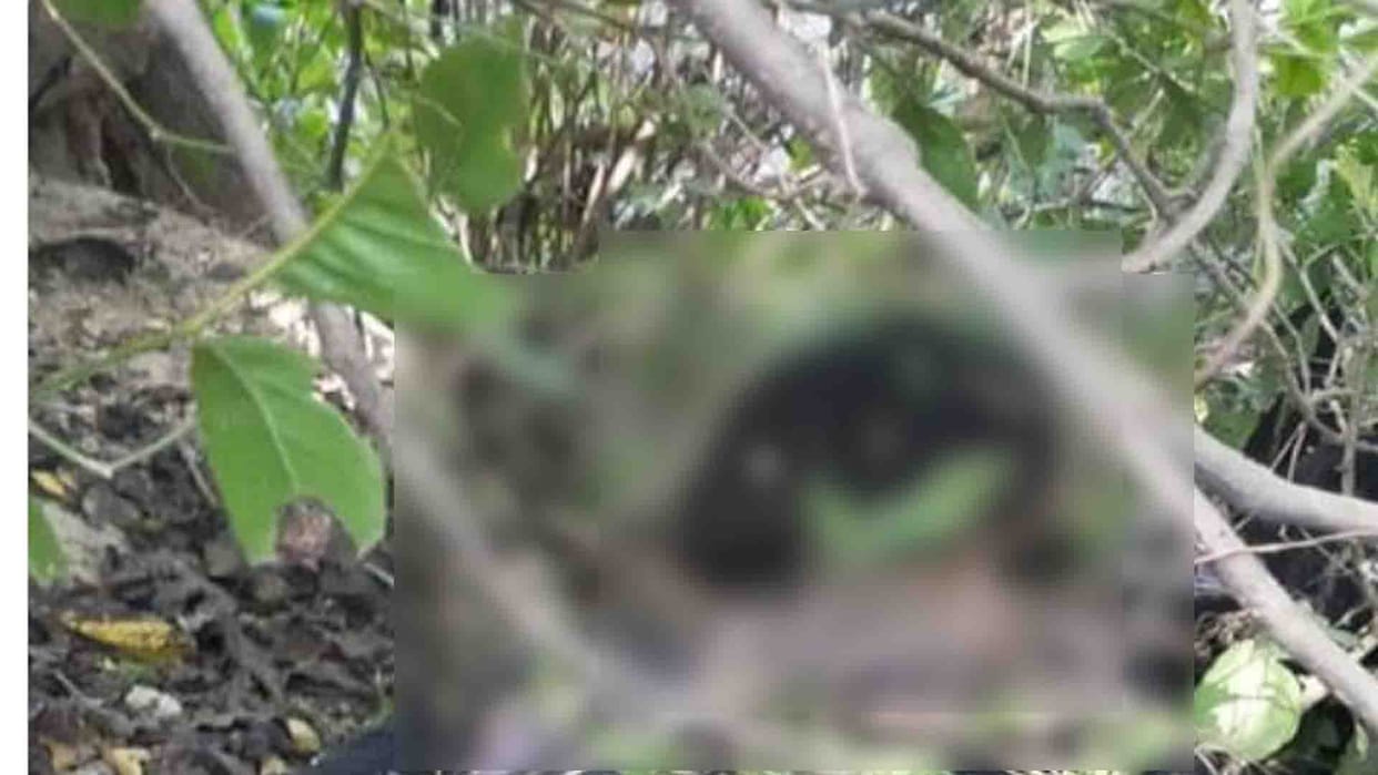 body found of a girl found in chitrakoot up