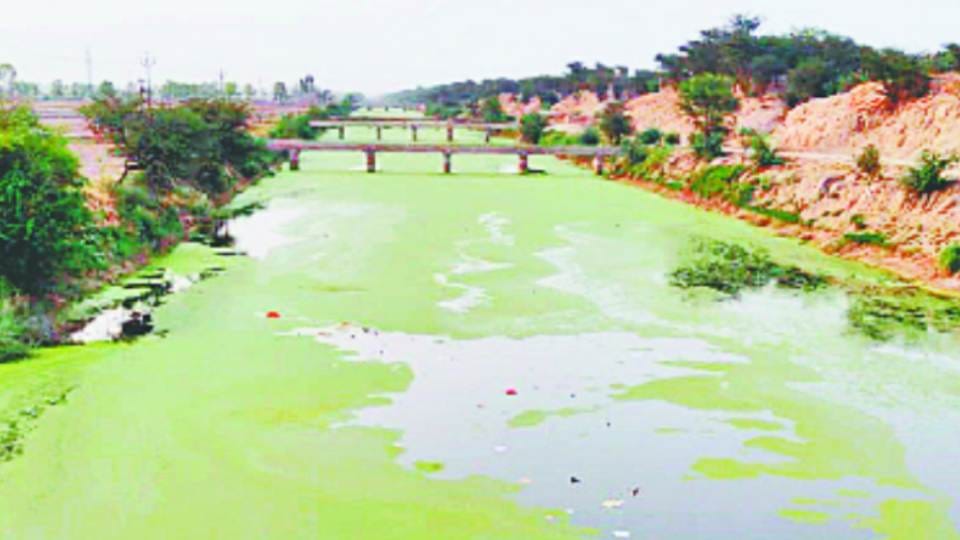Pakistan agreed to open Fazilka drain