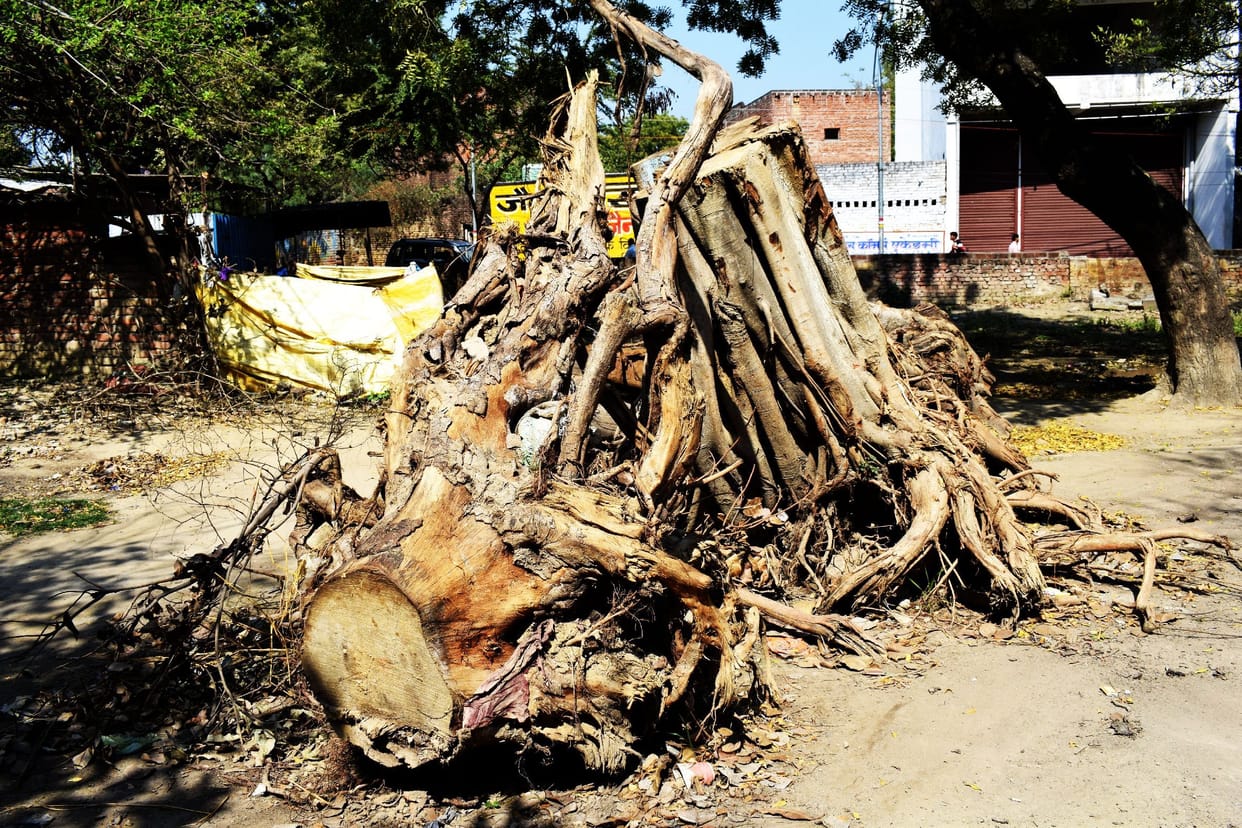 Holi will be burnt at 75 places in Kotwali area and 95 in Sadar