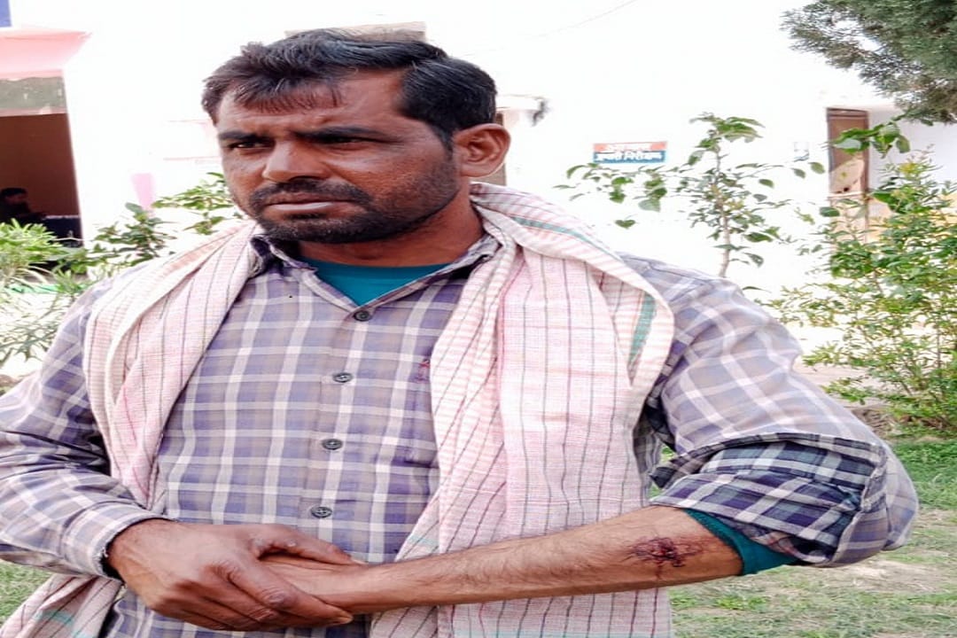 Attacked with butt of a gun to stop thieves broke hand and loaded buffalo in few minutes