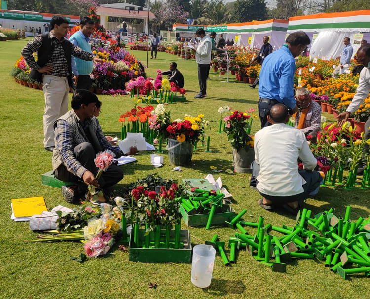 bulandshahr news