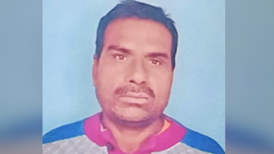 bull killed cow protector in mainpuri