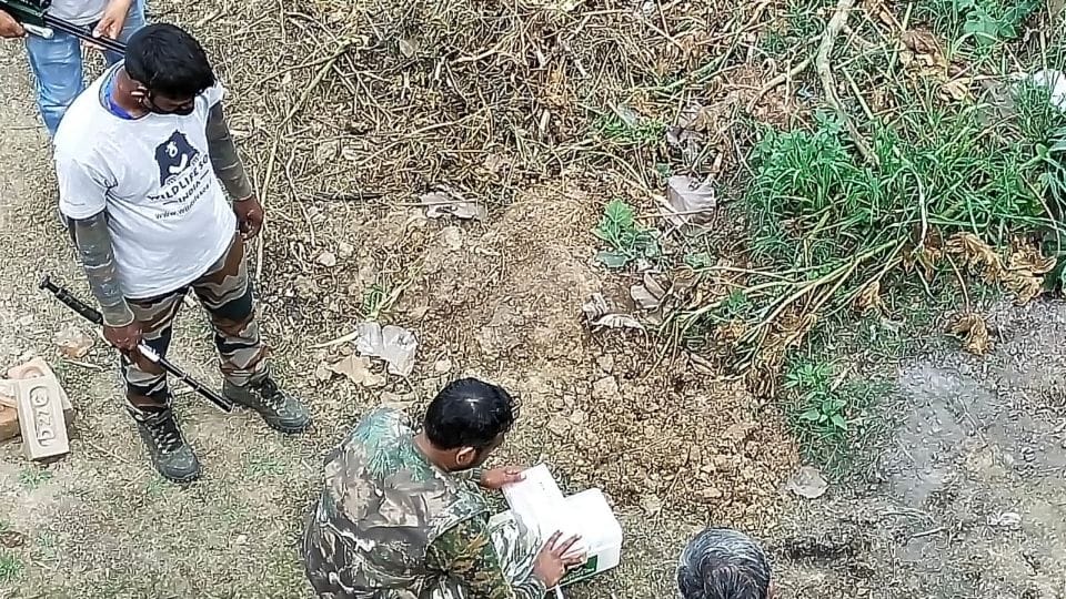 Bengal tiger entered in nagala samal village of Etah district