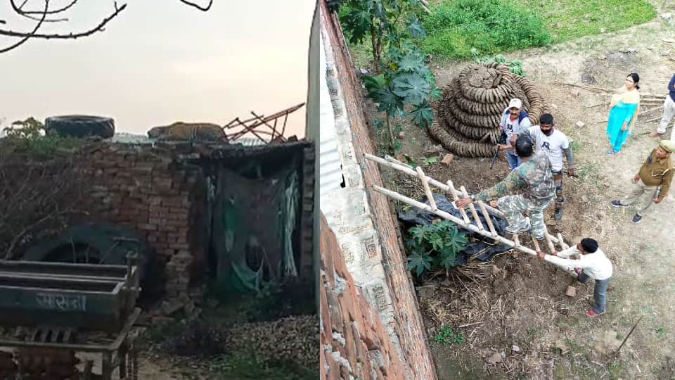 Bengal tiger entered in nagala samal village of Etah district