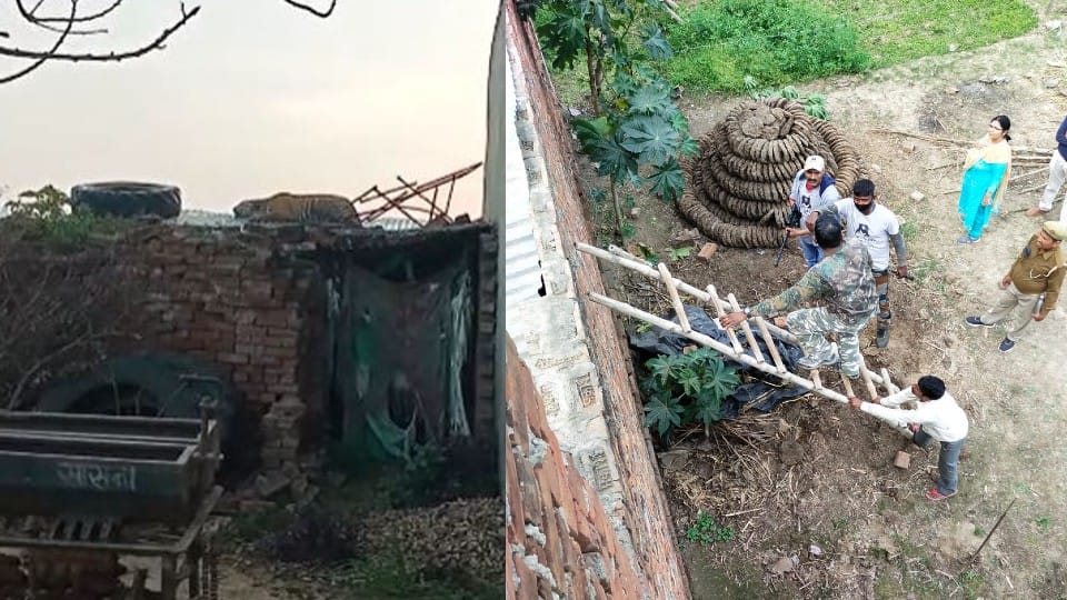 Bengal tiger entered in nagala samal village of Etah district