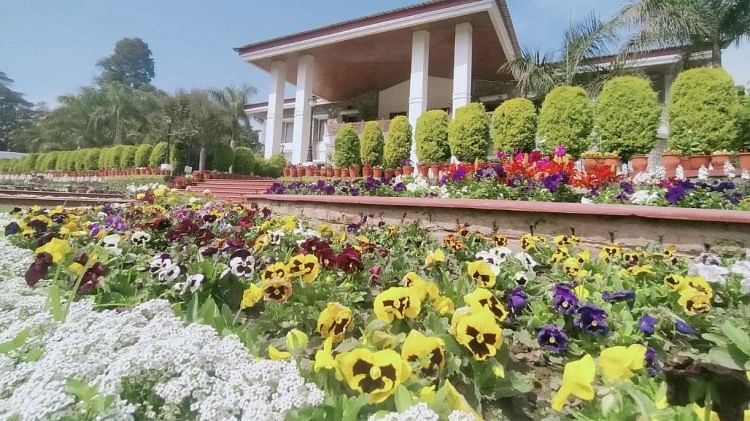 वसंतोत्सव 2022:राजभवन में सजा फूलों का संसार, आमजन के लिए शाम छह बजे तक  खुली रहेगी प्रदर्शनी, तस्वीरें... - Vasantotsav 2022: Raj Bhavan Decorated  With Flowers, Exhibition ...
