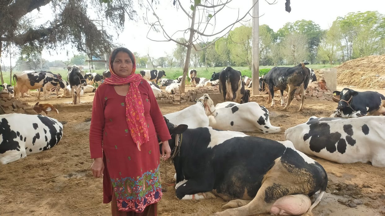 Women's Day: Neetu earned name in animal husbandry, also got respect from abroad