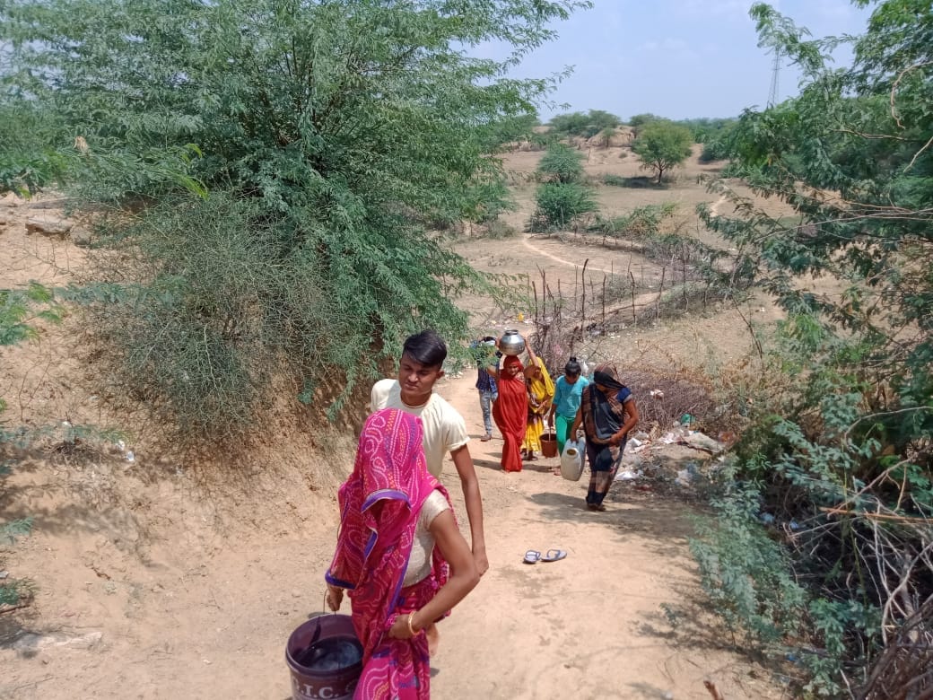The hope of sweet water quenches thirst with the water of Chambal