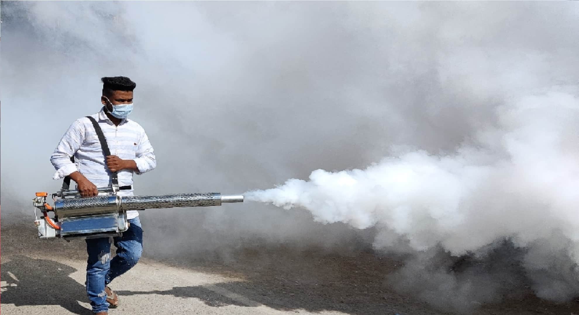 ICMR Prepared Cross Breeding Mosquitoes Who Produce Virus Free Larvae To Curb Dengue Chikungunya