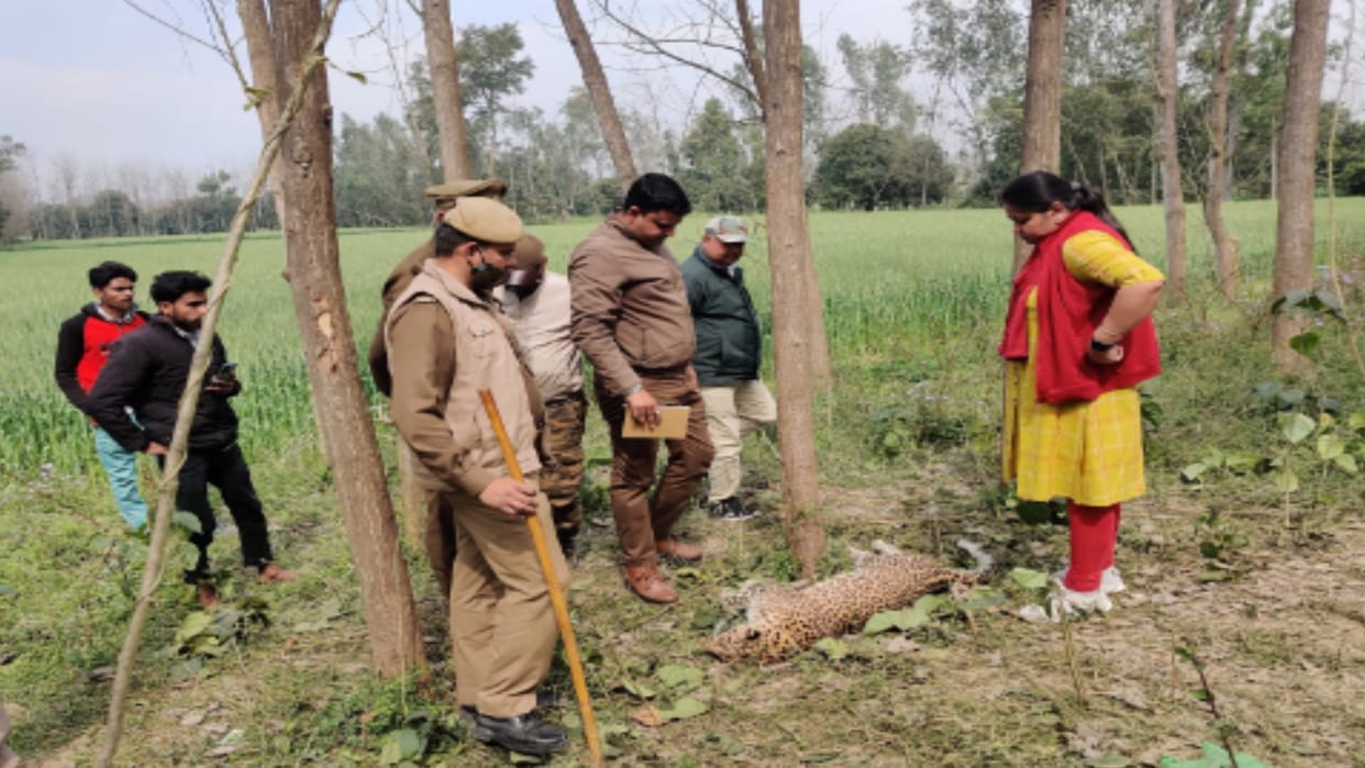 Saharanpur:  female Guldar died due to electrocution, body sent for post-mortem