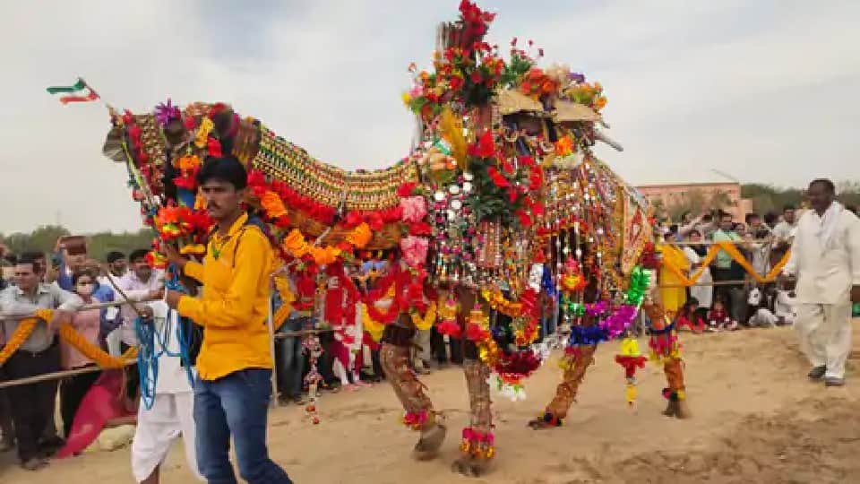 Photos of Bikaner International Camel Festival