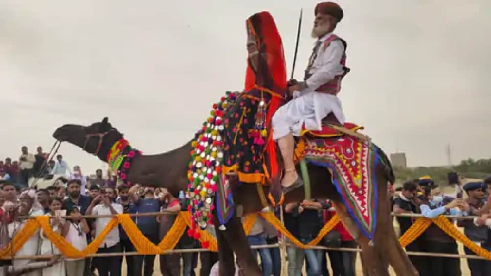 Photos of Bikaner International Camel Festival